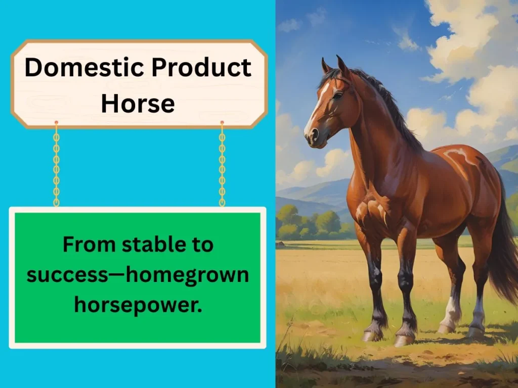Domestic Product Horse