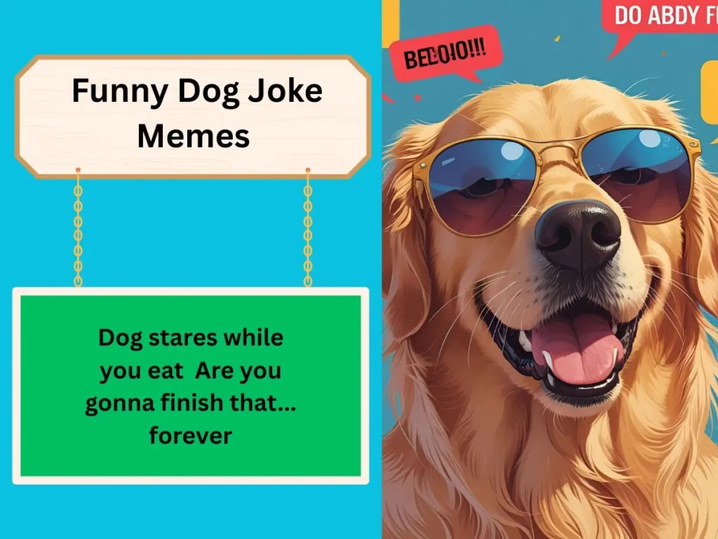 Funny Dog Joke Memes