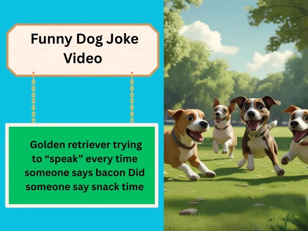 Funny Dog Joke Video