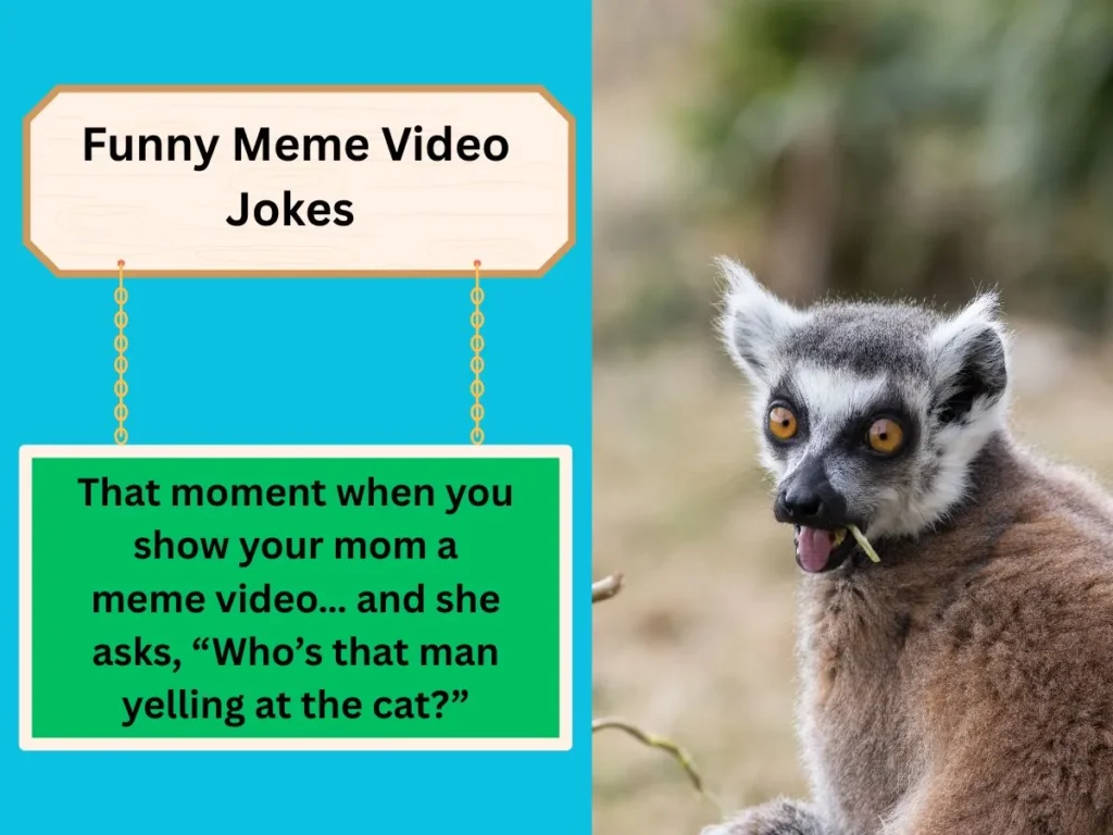 Funny Meme Video Jokes 