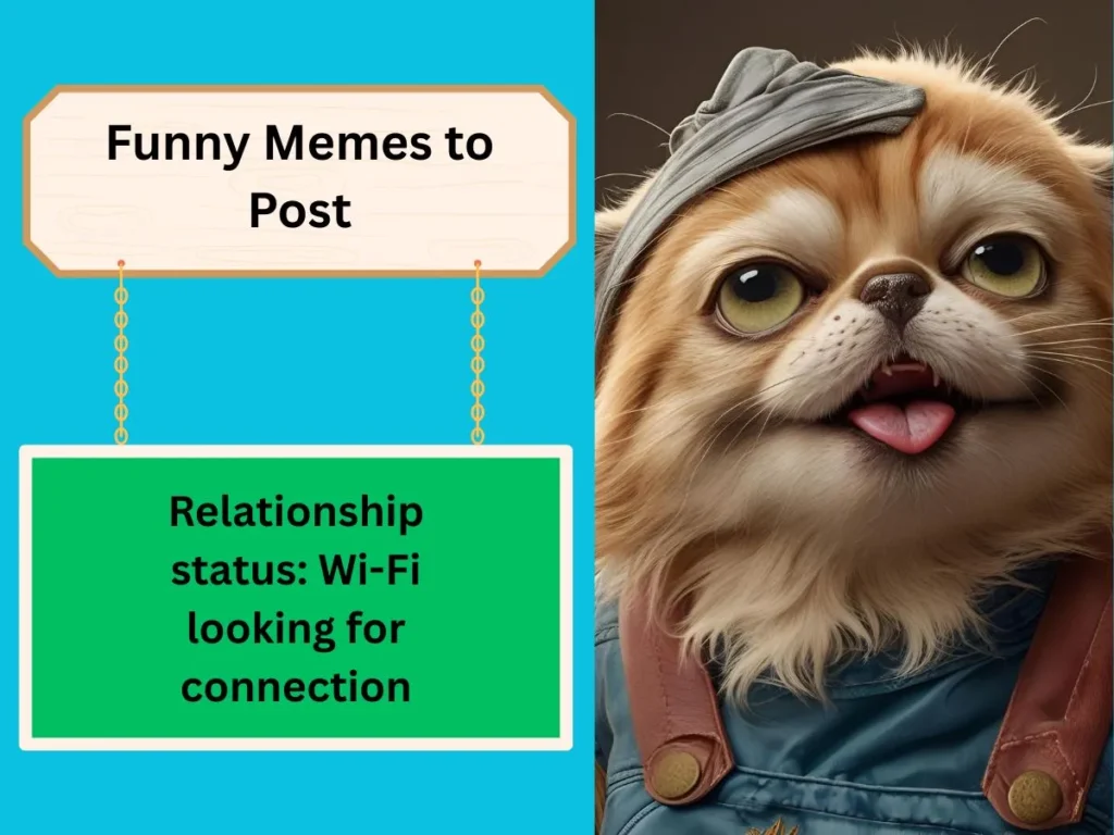 Funny Memes to Post