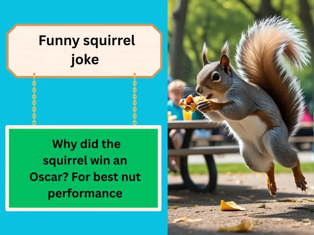  Funny squirrel joke