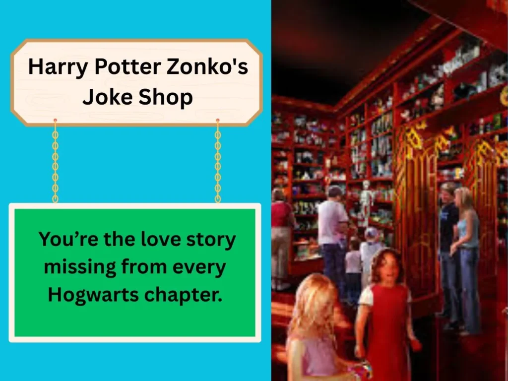 Harry Potter Zonko's Joke Shop