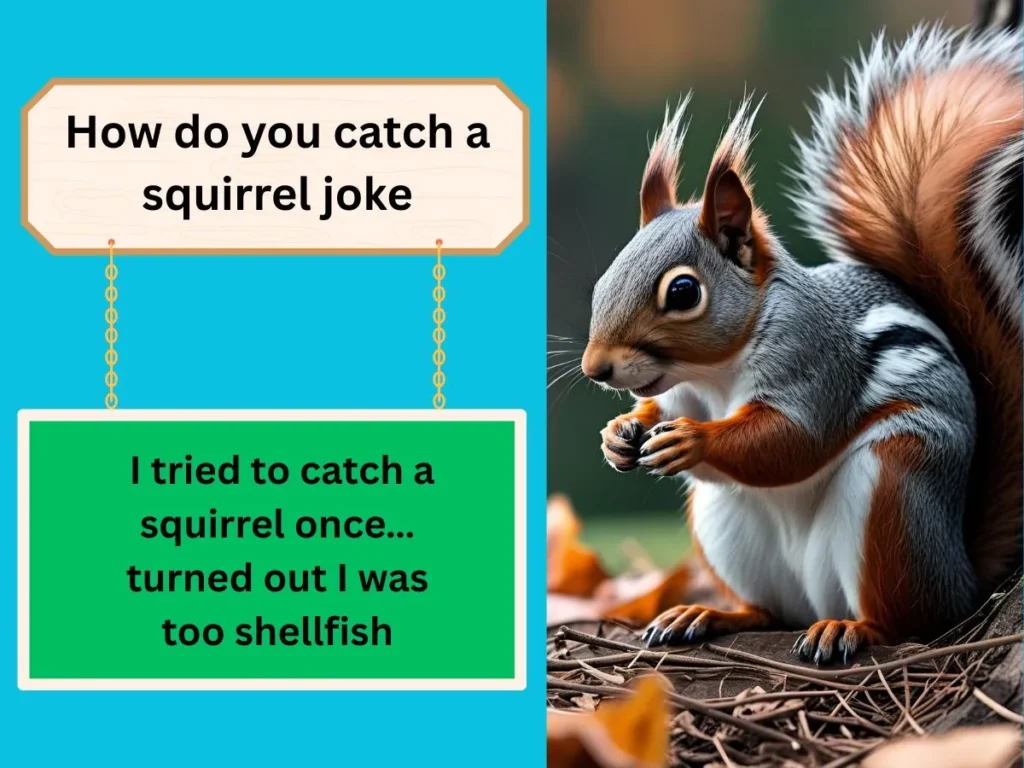 How do you catch a squirrel joke