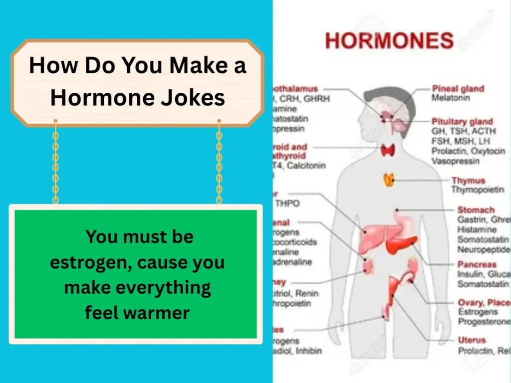 How Do You Make a Hormone Jokes