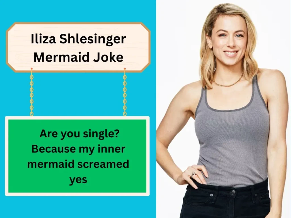 Iliza Shlesinger Mermaid Joke