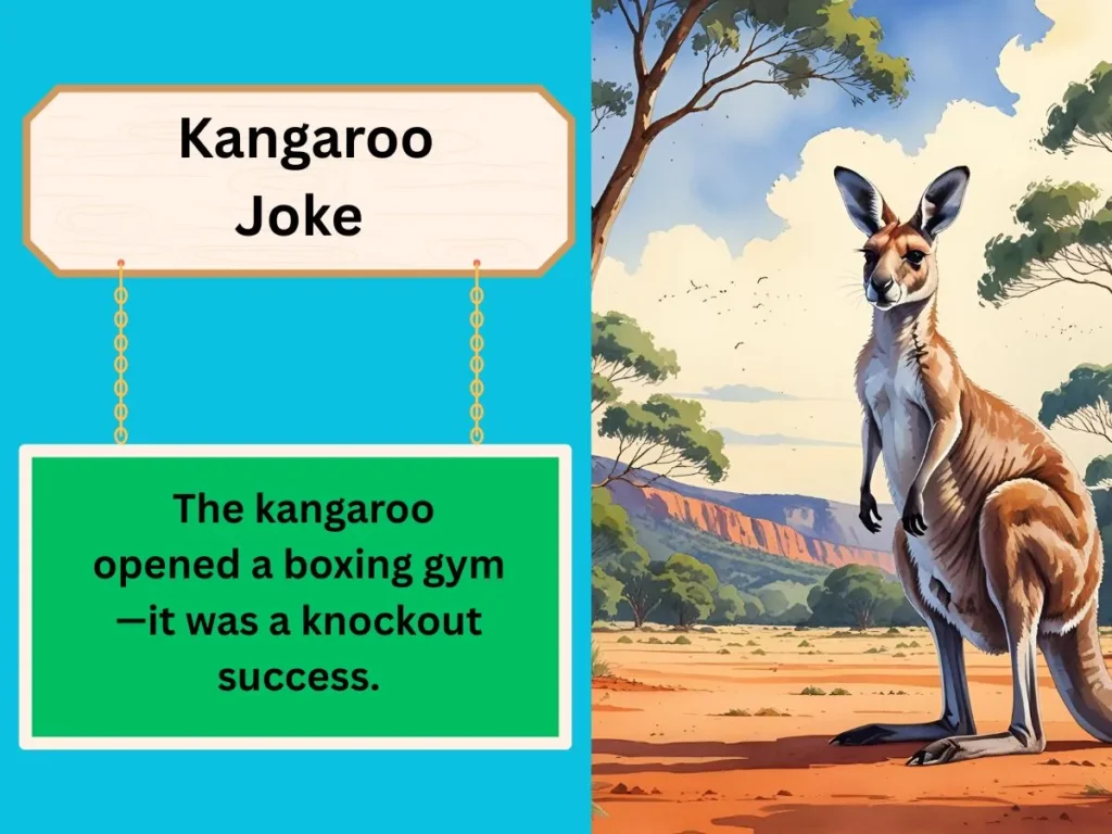Kangaroo Joke