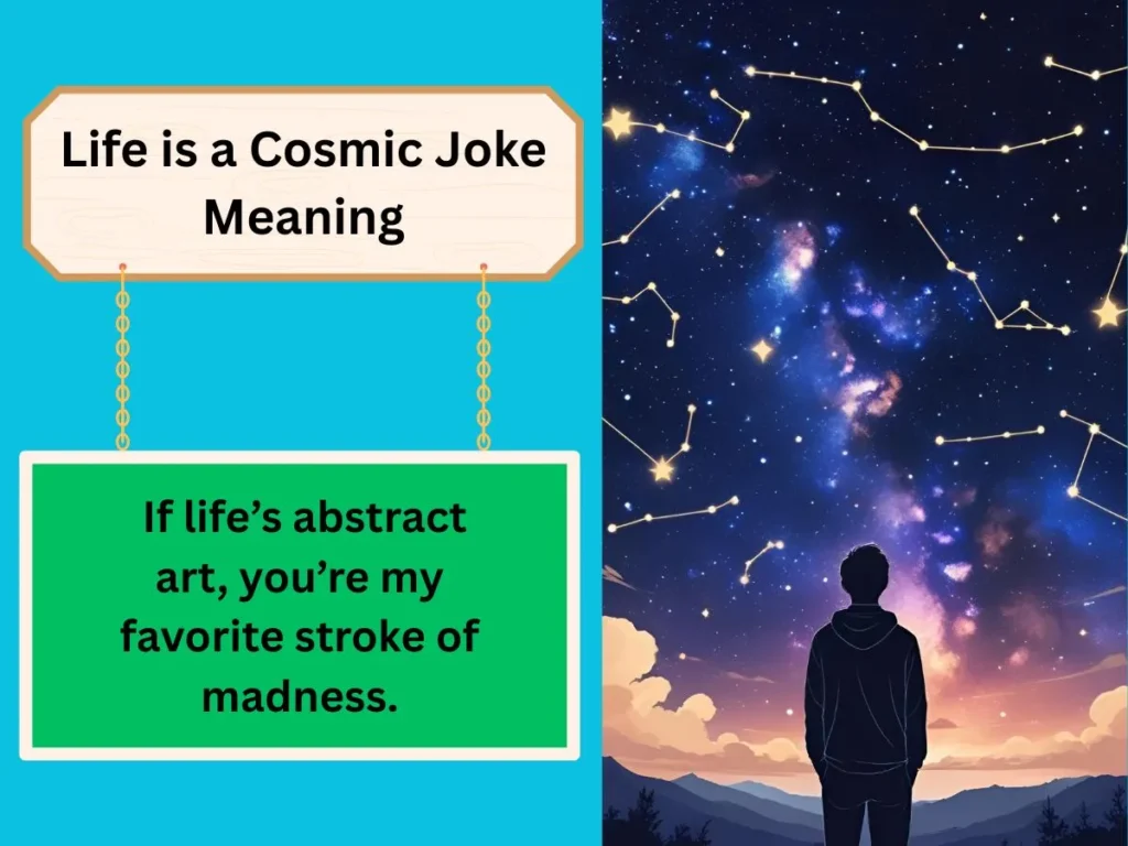 Life is a Cosmic Joke Meaning