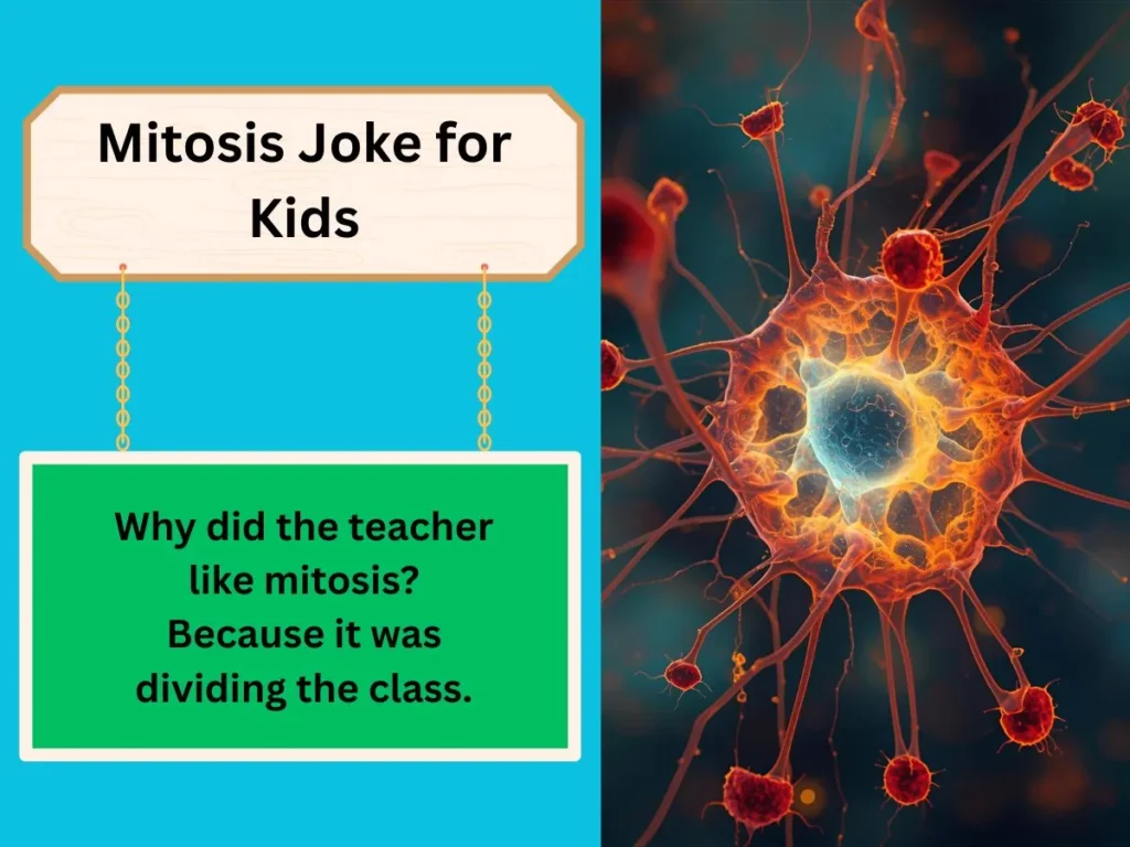 Mitosis Joke for Kids