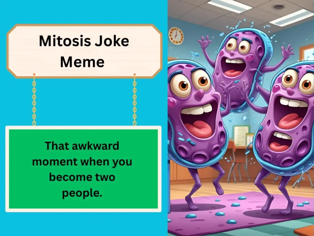 Mitosis Joke Meme