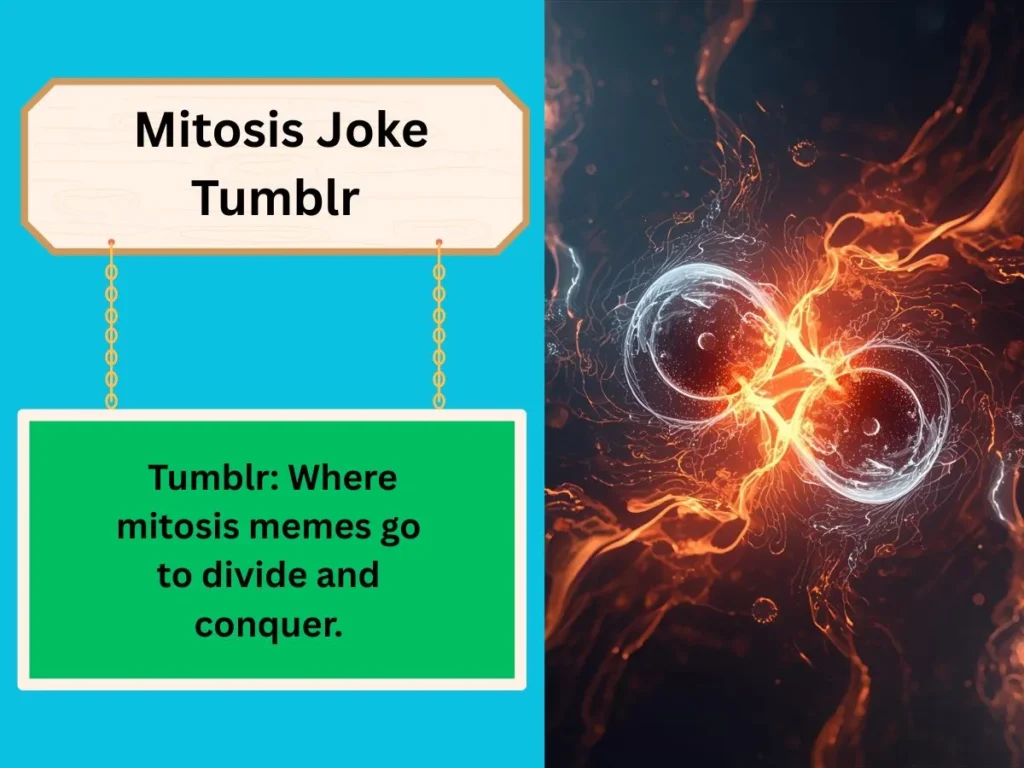 Mitosis Joke Tumblr
