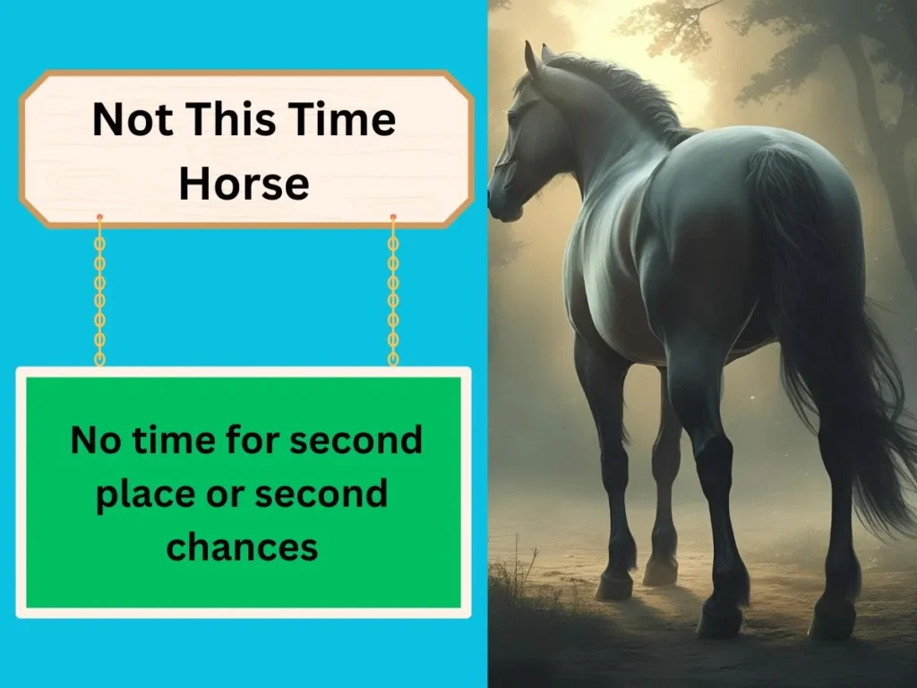 Not This Time Horse