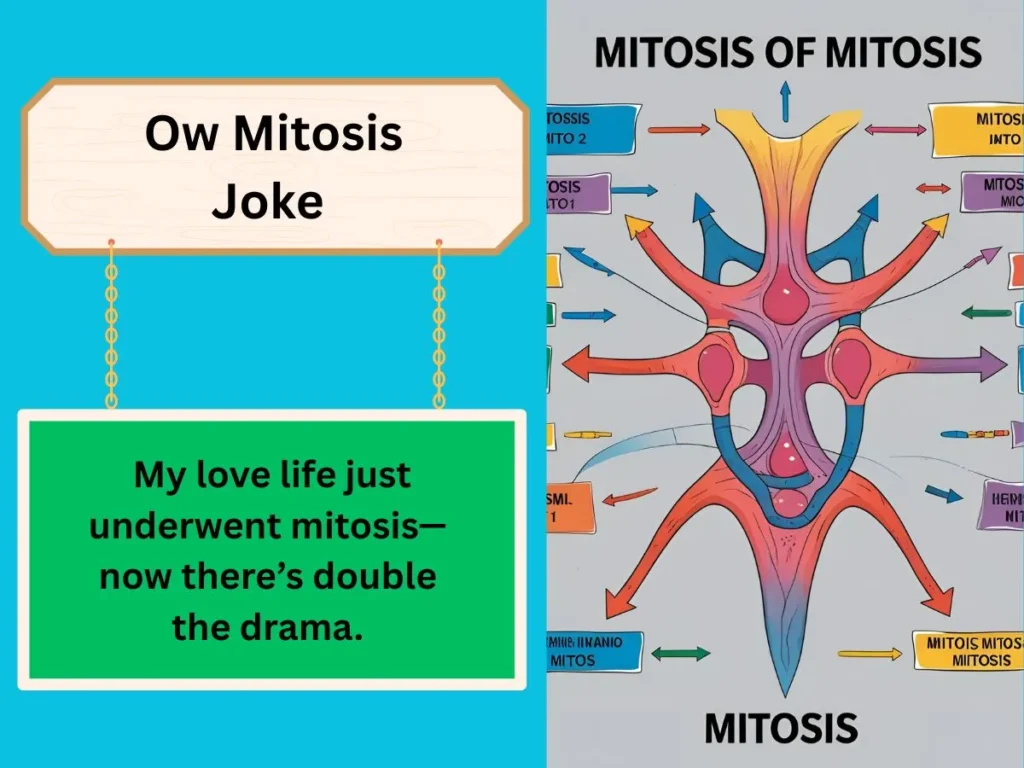 Ow Mitosis Joke