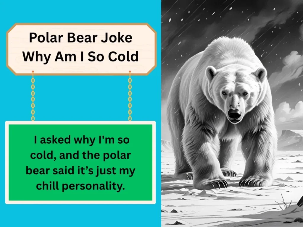 Polar Bear Joke Why Am I So Cold