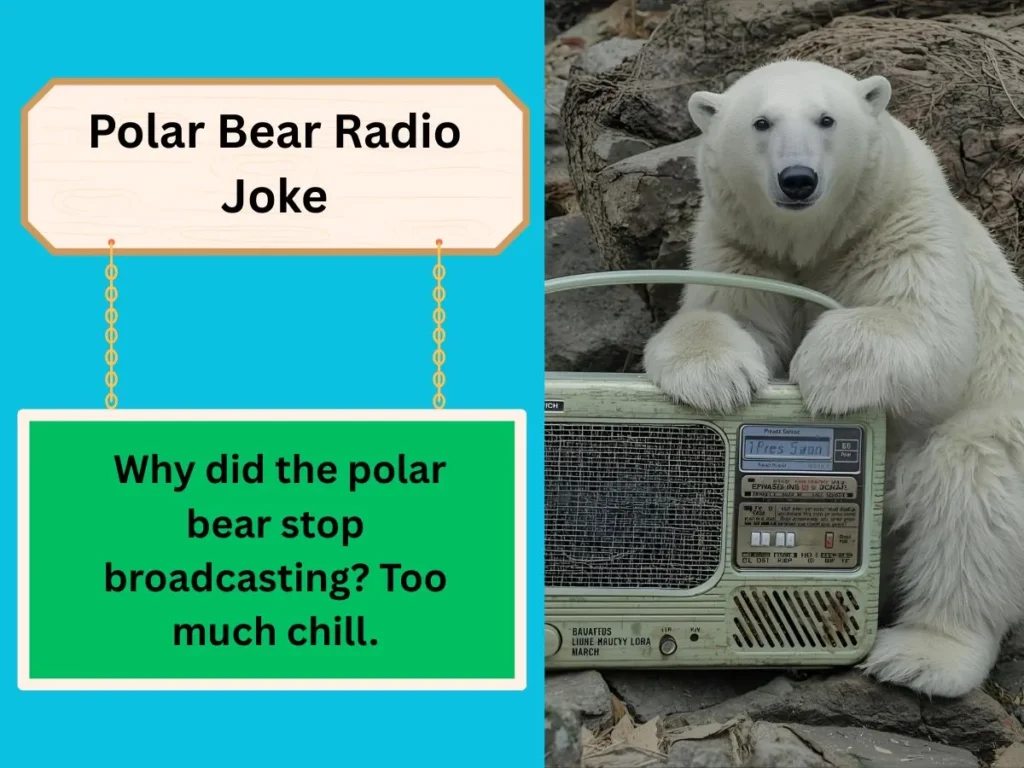 Polar Bear Radio Joke