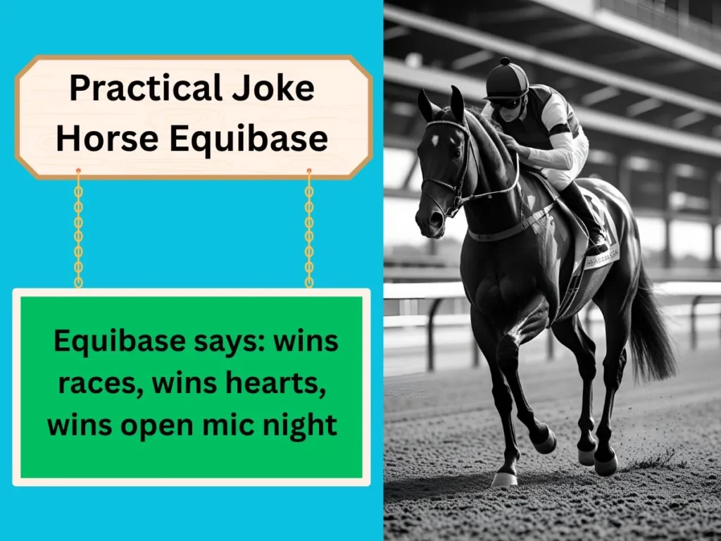 Practical Joke Horse Equibase
