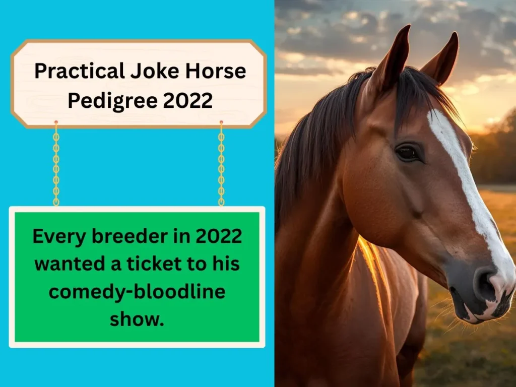 Practical Joke Horse Pedigree 2022