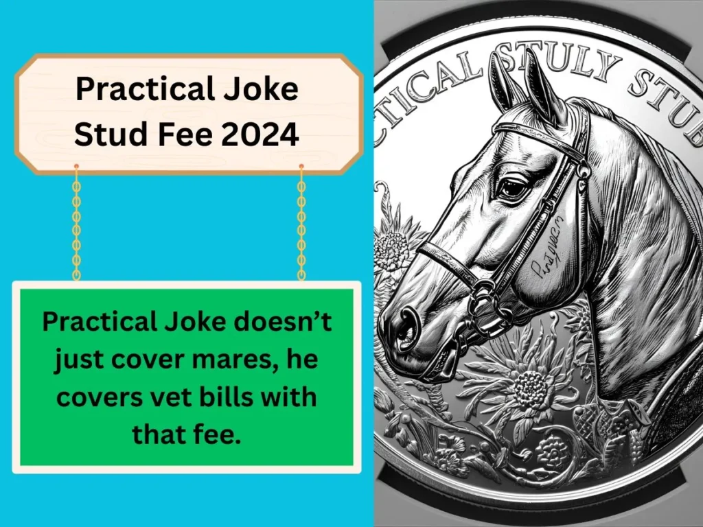 Practical Joke Stud Fee 2024