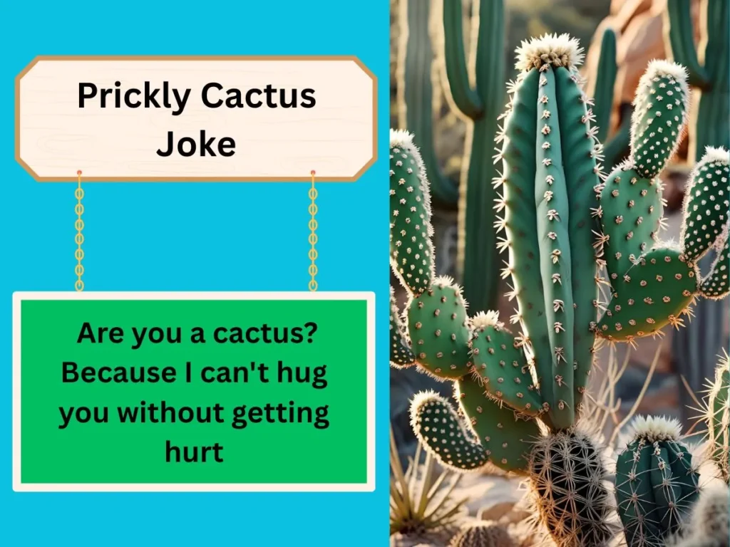 Prickly Cactus Joke
