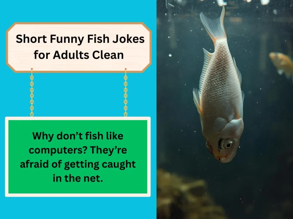 Short Funny Fish Jokes for Adults Clean
