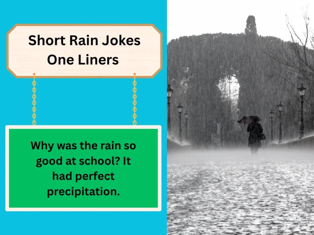 Short Rain Jokes One Liners 
