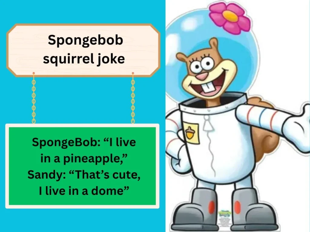  Spongebob squirrel joke