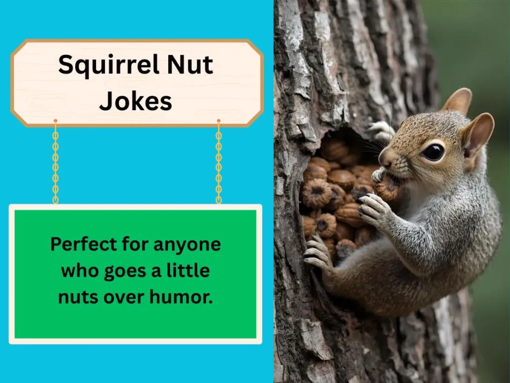 Squirrel Nut Jokes