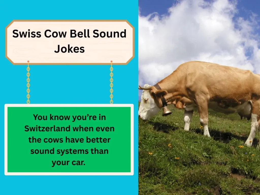 Swiss Cow Bell Sound Jokes