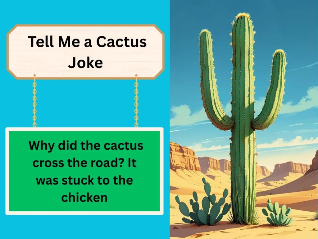 Tell Me a Cactus Joke