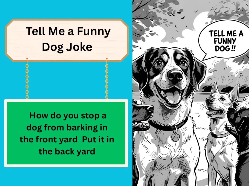 Tell Me a Funny Dog Joke