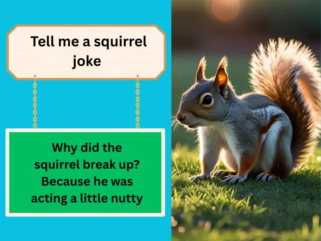  Tell me a squirrel joke
