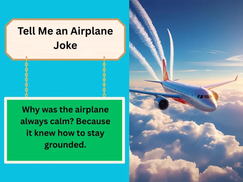 Tell Me an Airplane Joke