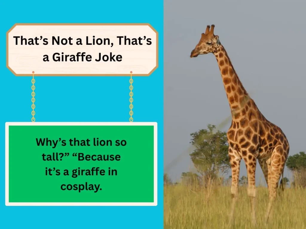 That’s Not a Lion, That’s a Giraffe Joke