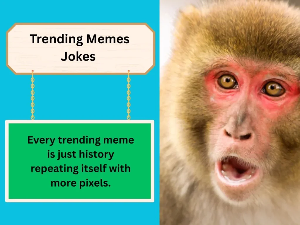 Trending Memes Jokes 