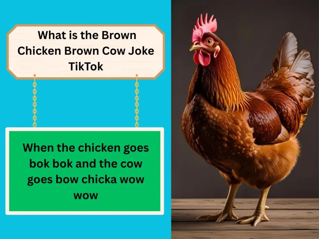  What is the Brown Chicken Brown Cow Joke TikTok