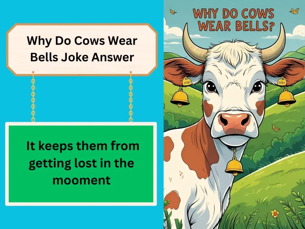 Why Do Cows Wear Bells Joke Answer