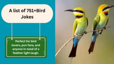 Bird Joke