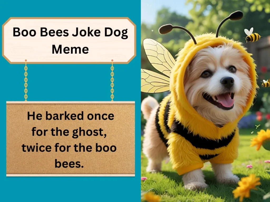 Boo Bees Joke Dog Meme