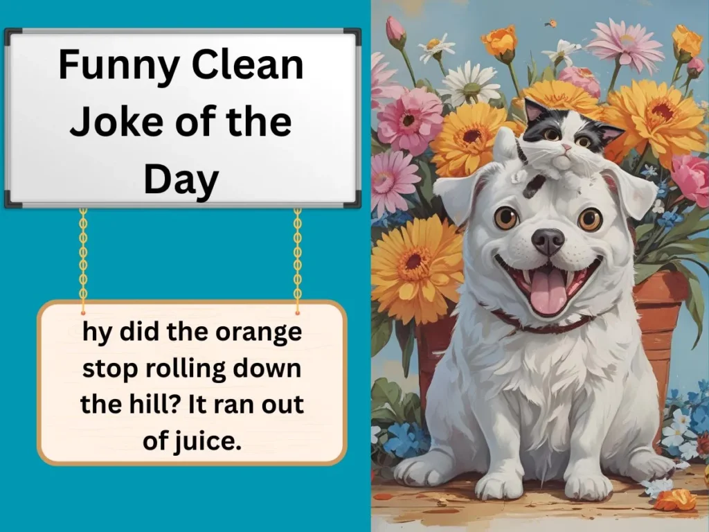 Funny Clean Joke of the Day