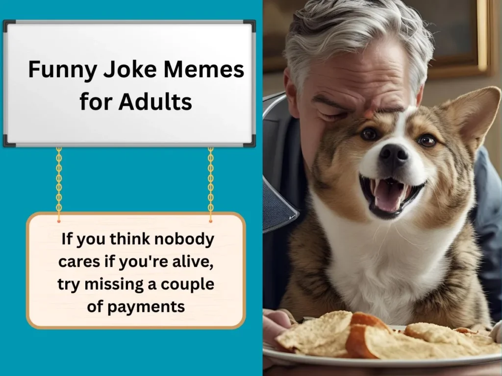 Funny Joke Memes for Adults