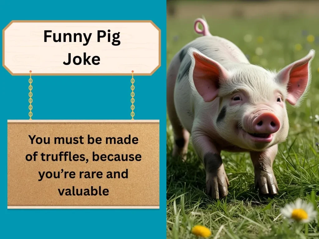 Funny Pig Joke