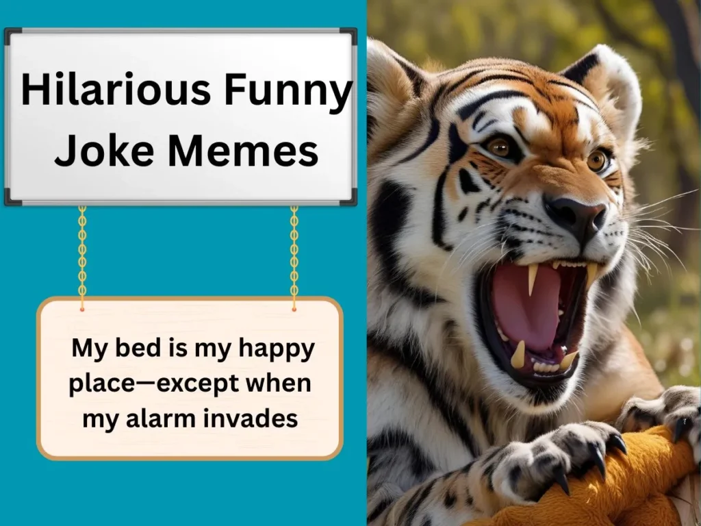 Hilarious Funny Joke Memes