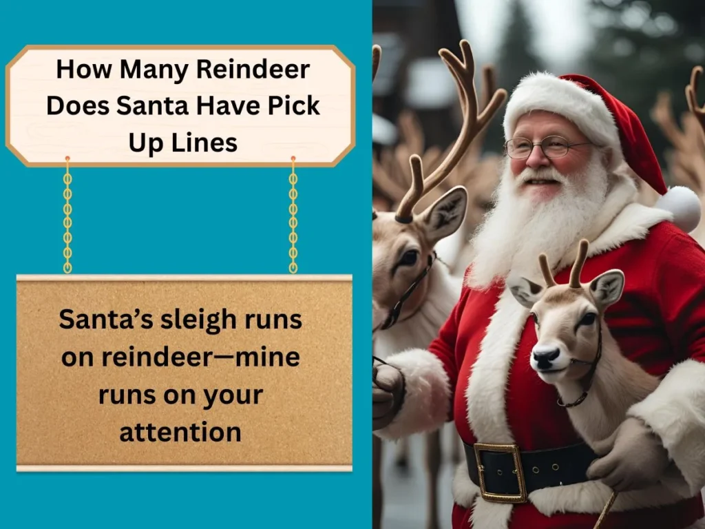 How Many Reindeer Does Santa Have Pick-Up Lines