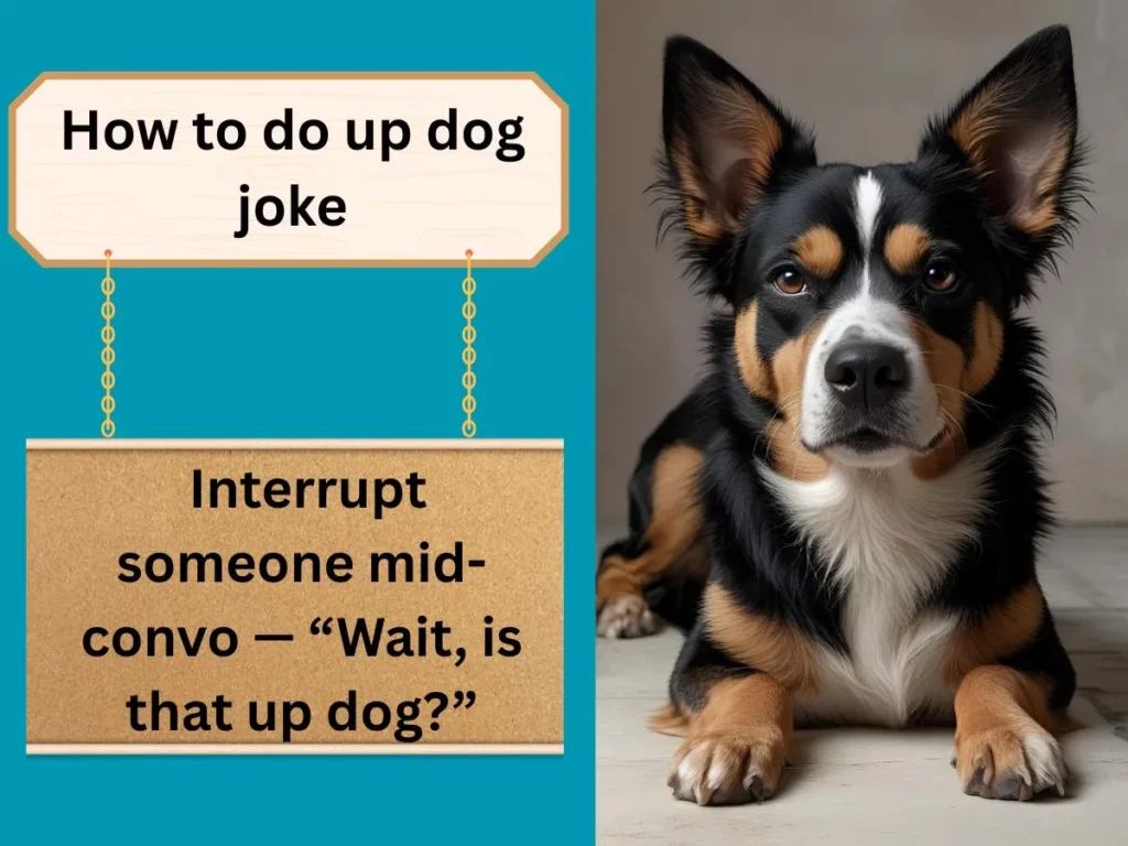 How to do up dog joke