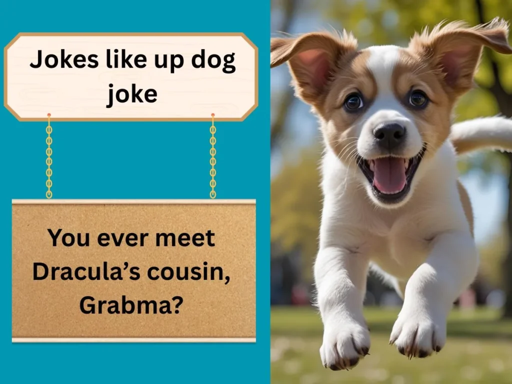 Jokes like up dog joke