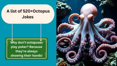 Octopus Joke