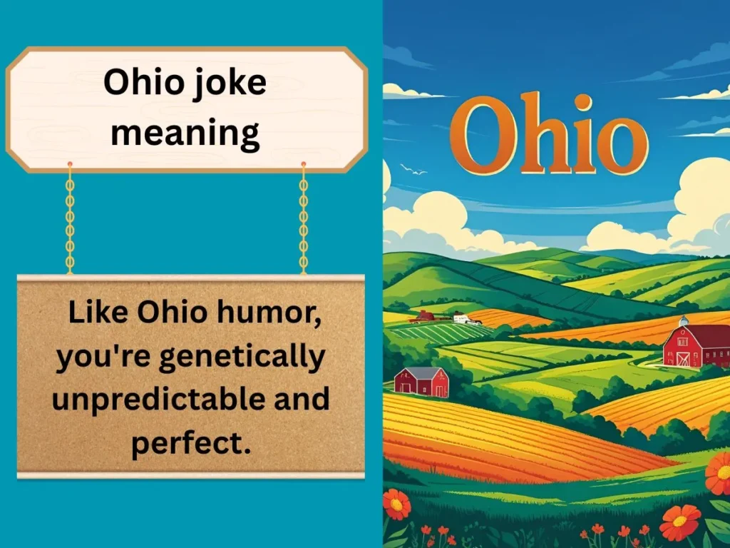 Ohio joke meaning