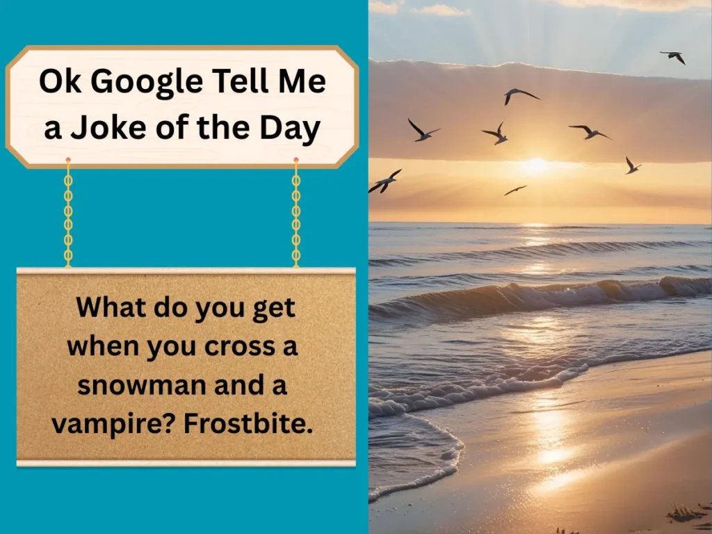 Ok Google Tell Me a Joke of the Day