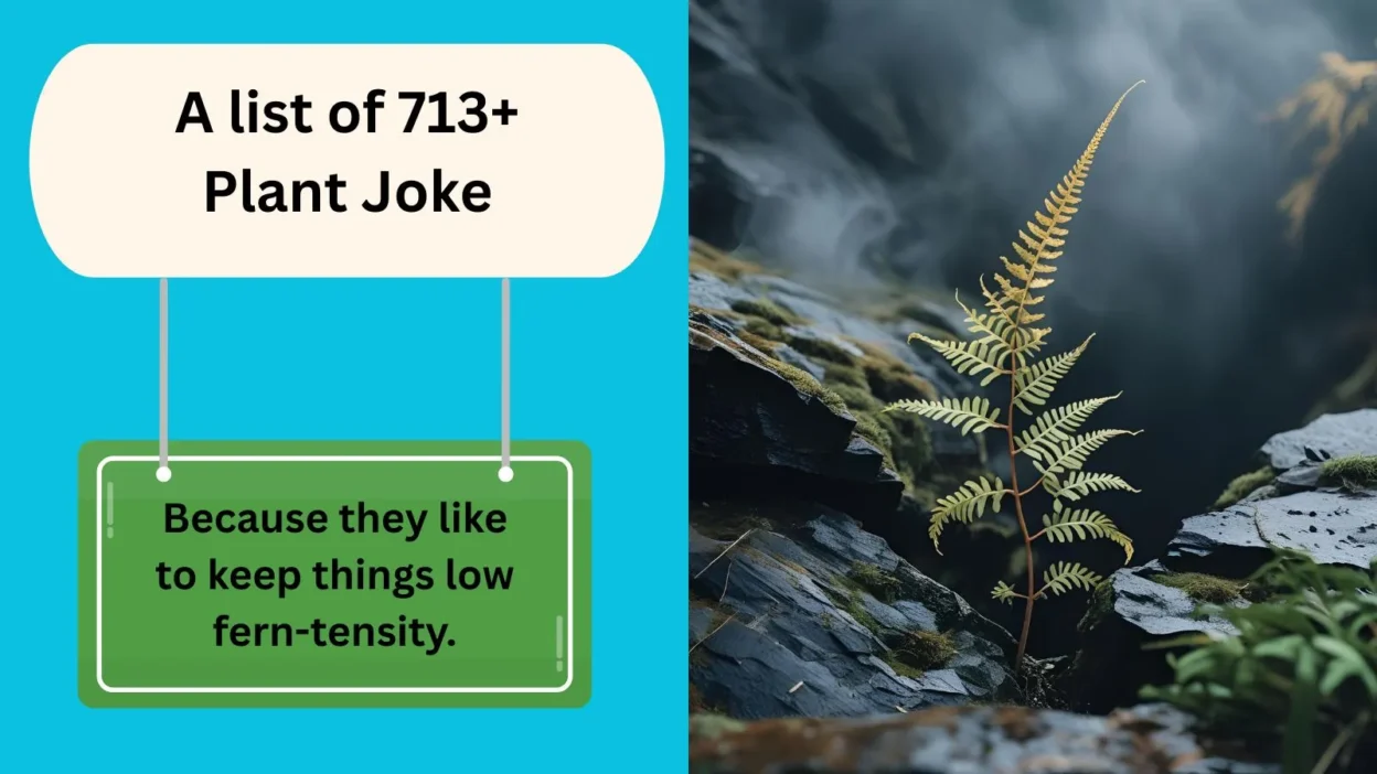 Plant Joke