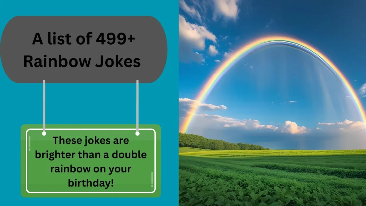 Rainbow Jokes